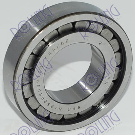 N.12528.S09.H100*SNR